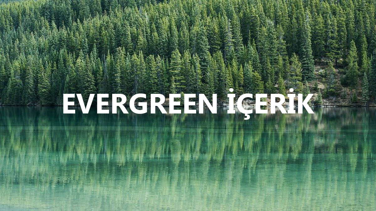 evergreen-icerik-nedir